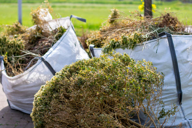 Best Electronics Removal Services  in Antlers, OK